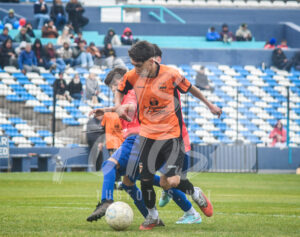 10IASA 17