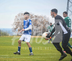 Asencio BN 18