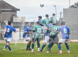 Asencio BN 8