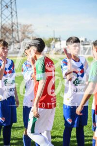 Mer LDC 17