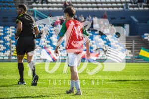 Mer LDC 201