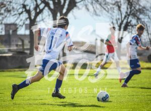 Mer LDC 223