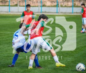 Mer LDC 409