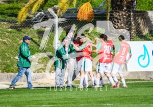 Mer LDC 44