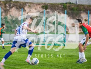 Mer LDC 488