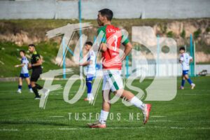 Mer LDC 77