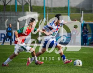 Mer LDC 99