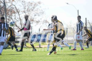 Peñ Bri 50