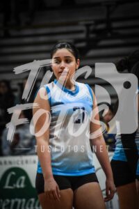 Voley 103