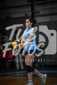 Voley 113
