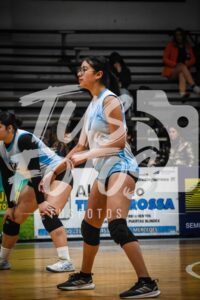 Voley 127