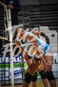 Voley 131
