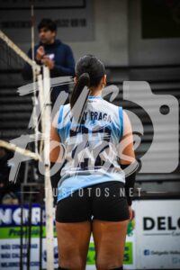 Voley 133