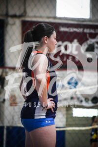 Voley 141