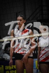 Voley 15