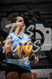 Voley 157
