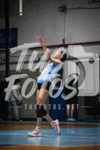 Voley 168