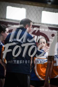 Voley 175