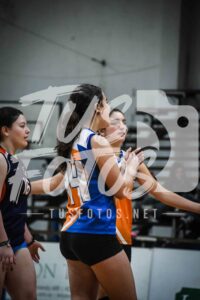 Voley 181