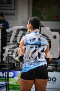 Voley 184