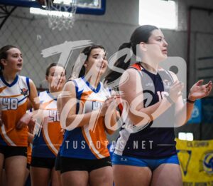 Voley 196