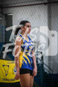 Voley 203