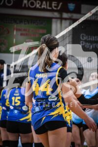 Voley 211