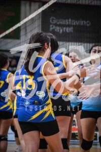 Voley 213