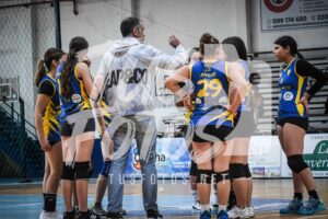 Voley 214