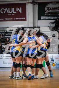 Voley 219