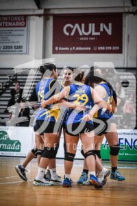 Voley 221