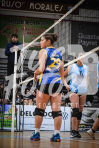 Voley 222