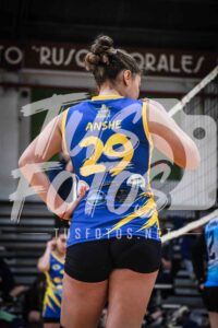 Voley 226