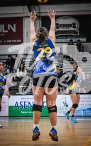 Voley 230