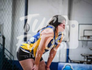 Voley 231