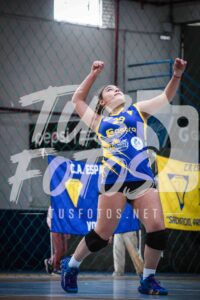 Voley 233