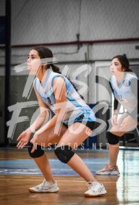 Voley 237