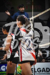 Voley 243