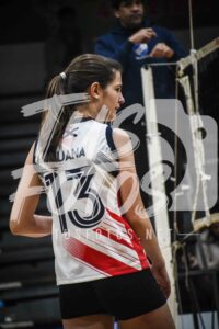 Voley 246