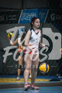 Voley 247