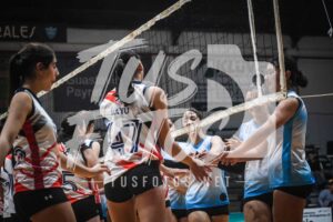 Voley 249