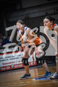 Voley 262