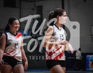 Voley 266