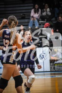 Voley 271
