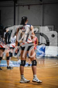 Voley 274