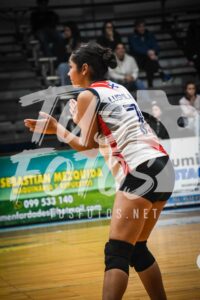 Voley 281