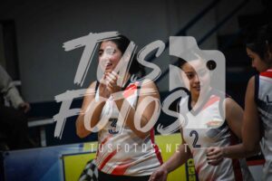 Voley 287