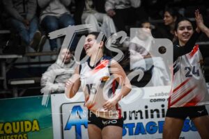 Voley 288