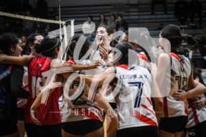 Voley 289