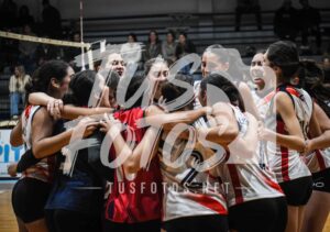 Voley 290